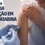 Levantamento do TCE/SC traça diagnóstico da vacinação em todos os municípios catarinenses 